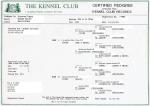 A Sample of A Kennel Club Registration Document